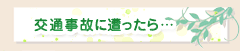 sec2_image